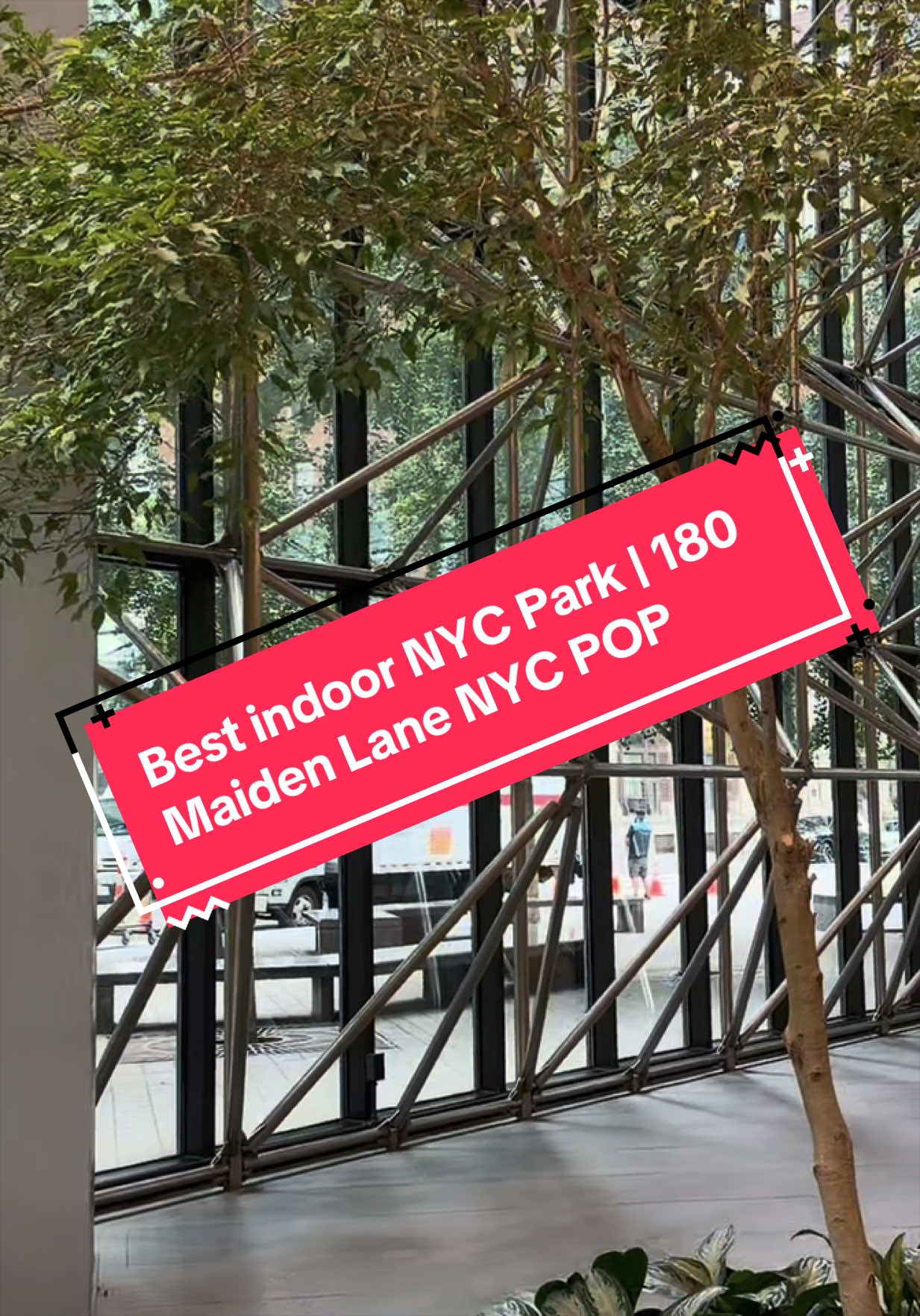 NYC's Best Indoor Public Park at Pier 11