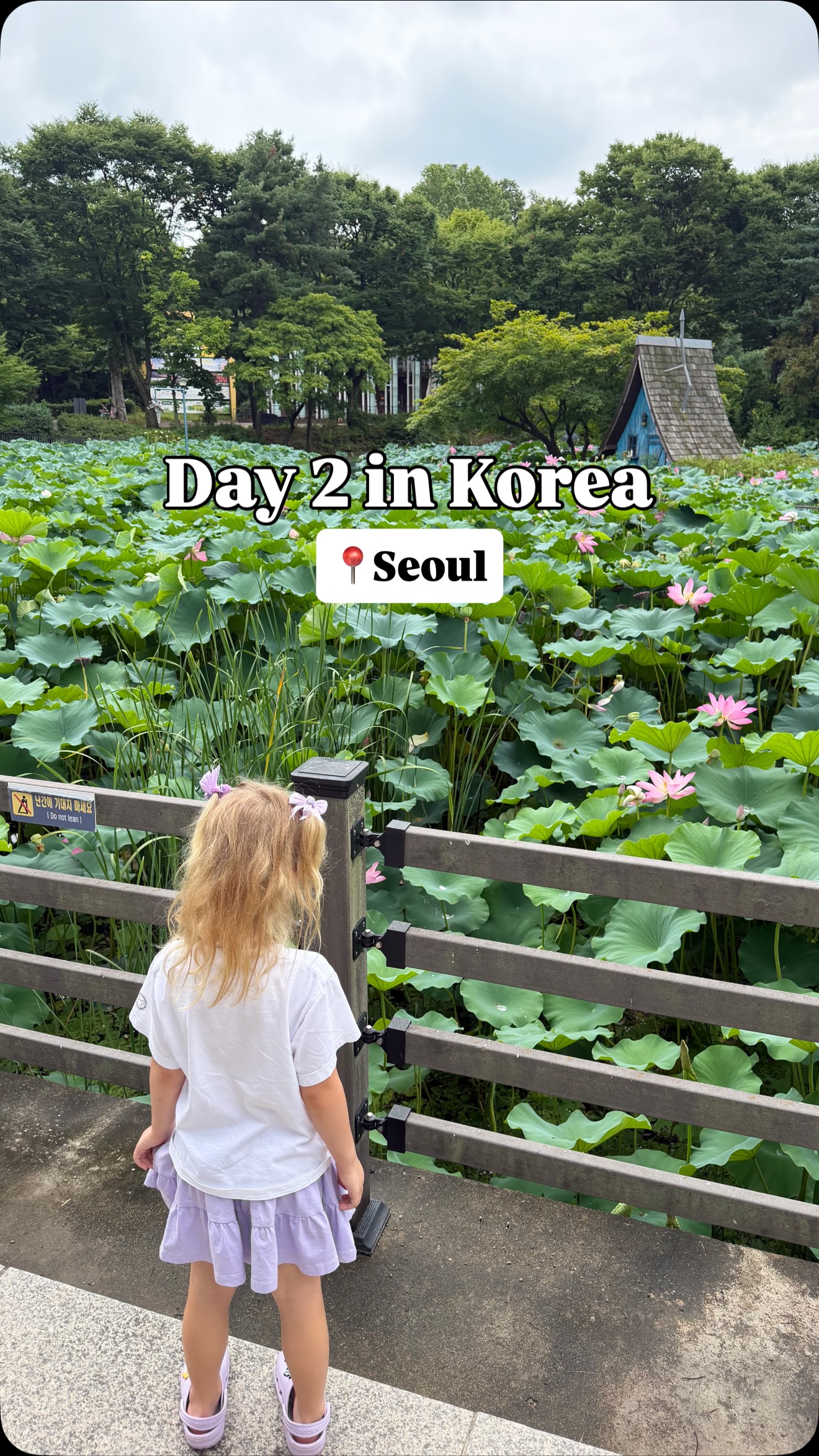 2 Attractions in Seoul