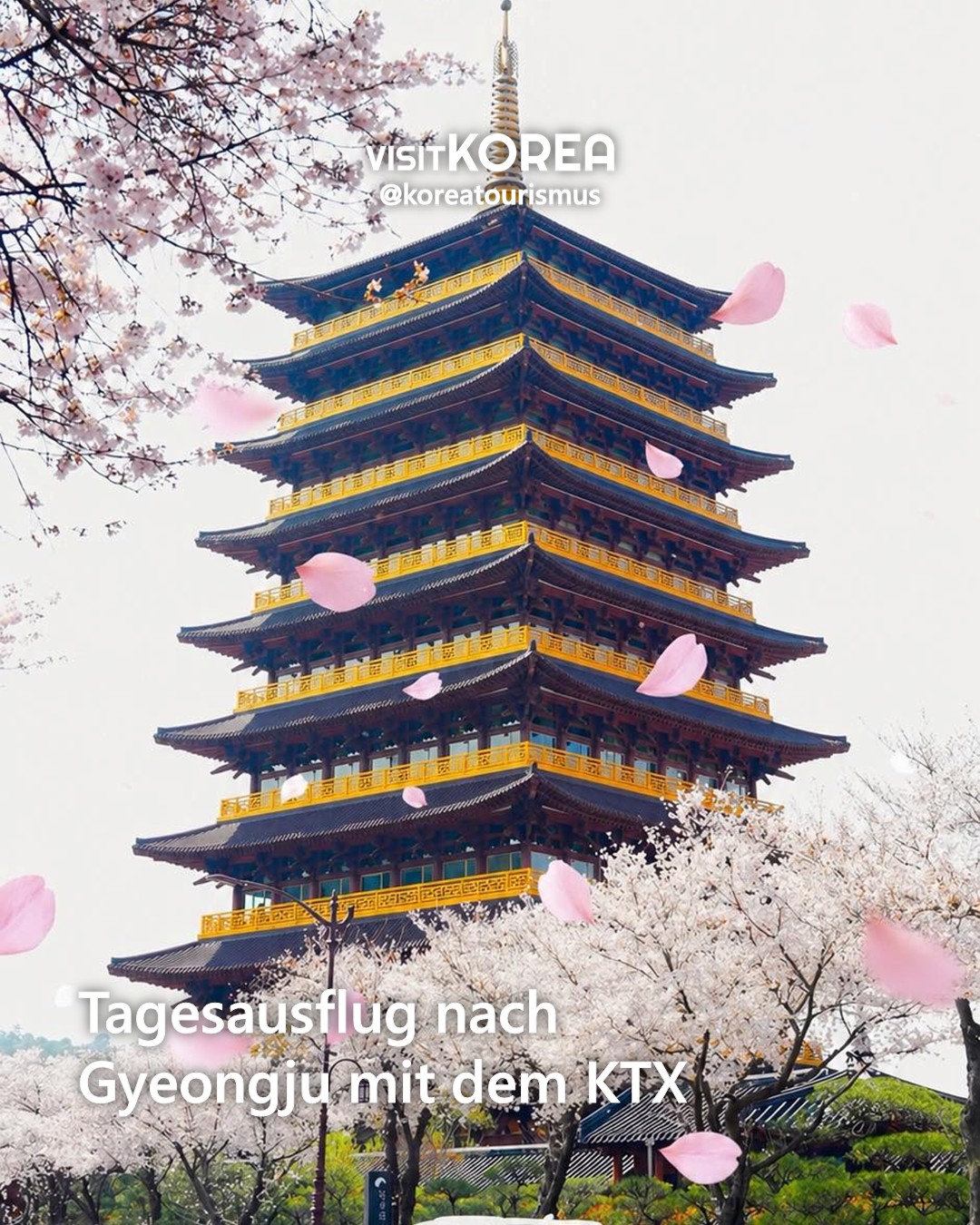 5 Places in Gyeongju