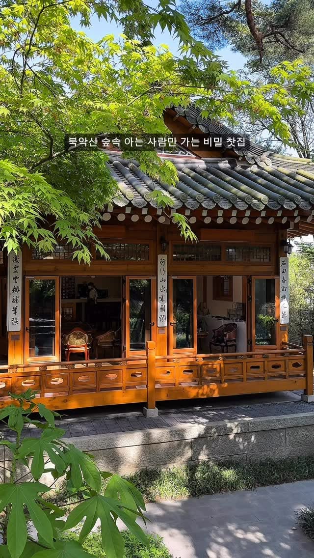 Samcheonggak's Dongbaekheon: Korean Tea Haven