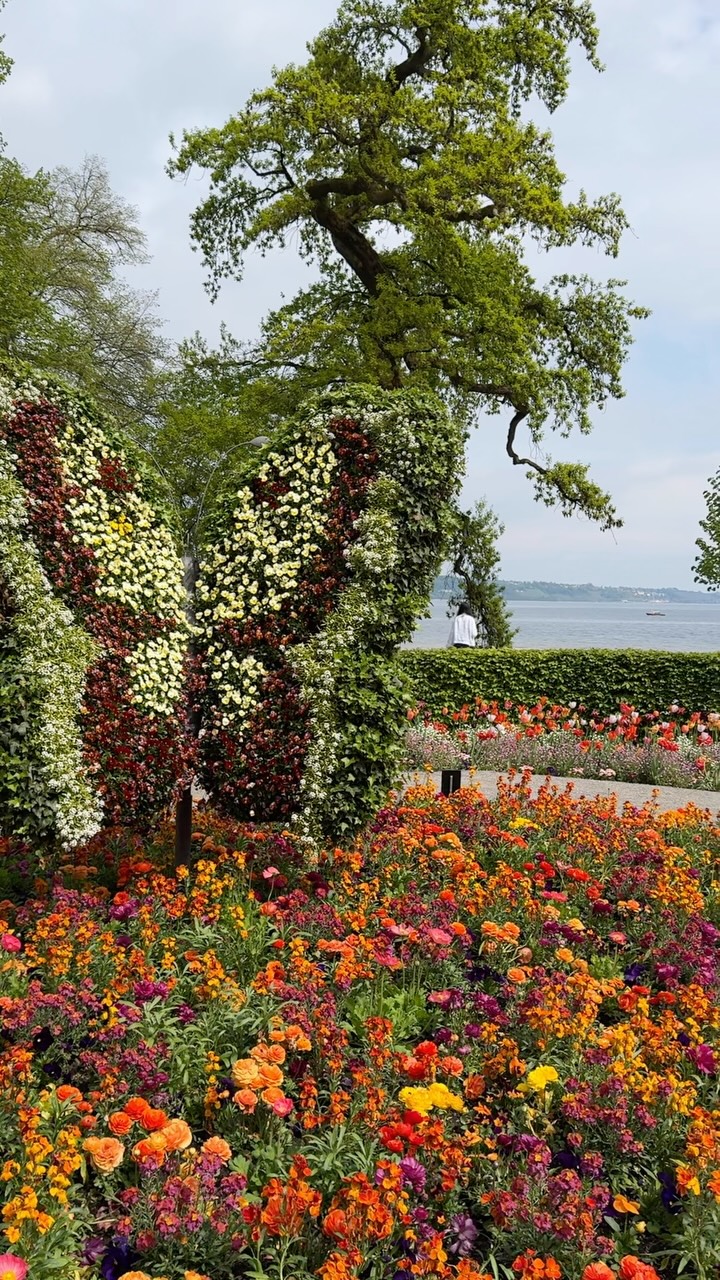 Island Botanical Gardens