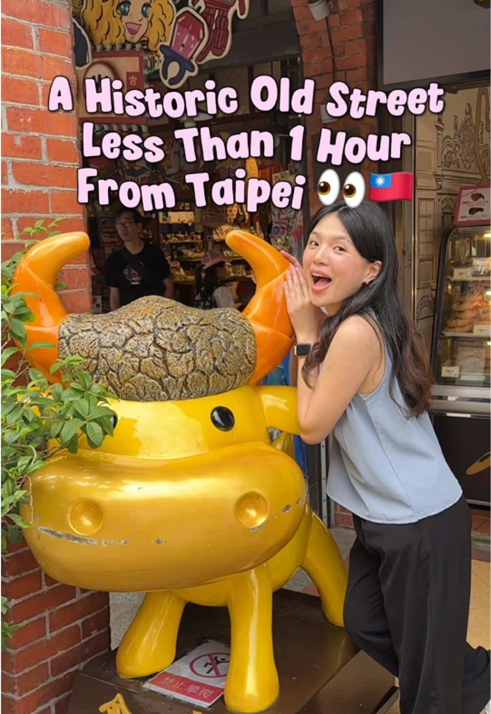 Taipei Area Destinations: Historic Street and University