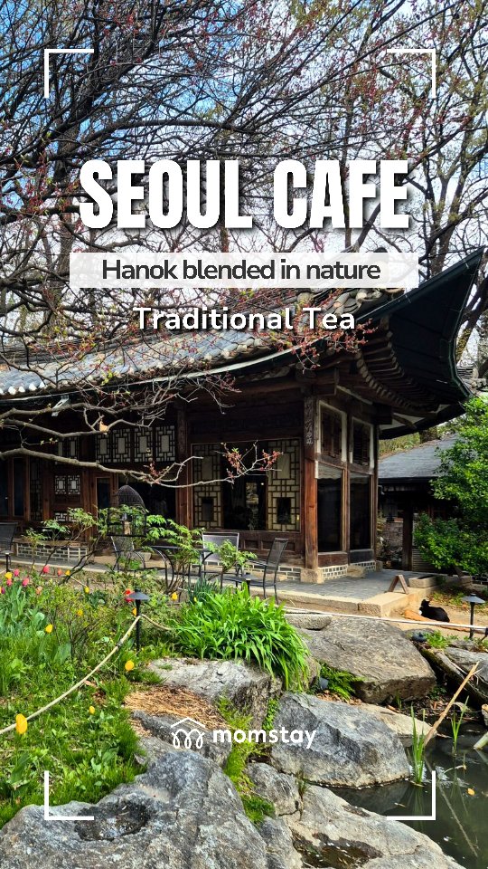 Tranquil Korean Tea House Near Seoul