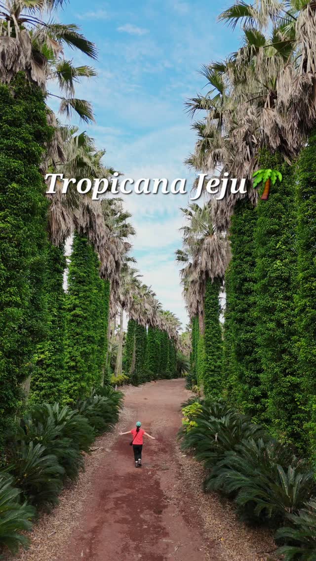 Tropicana: Jeju's Tropical Oasis Filming Location
