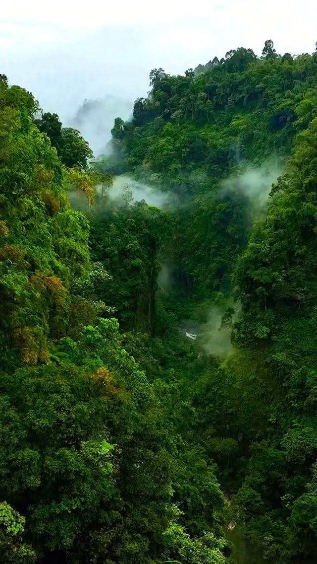 5 Parks in Thailand
