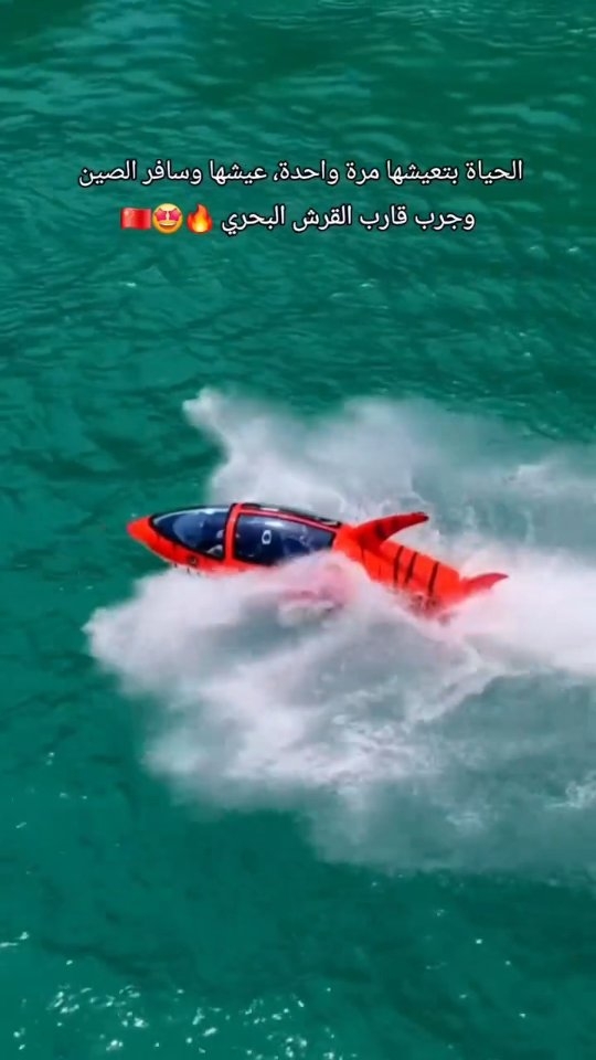 Shark-Shaped Speedboat Experience In Qingdao
