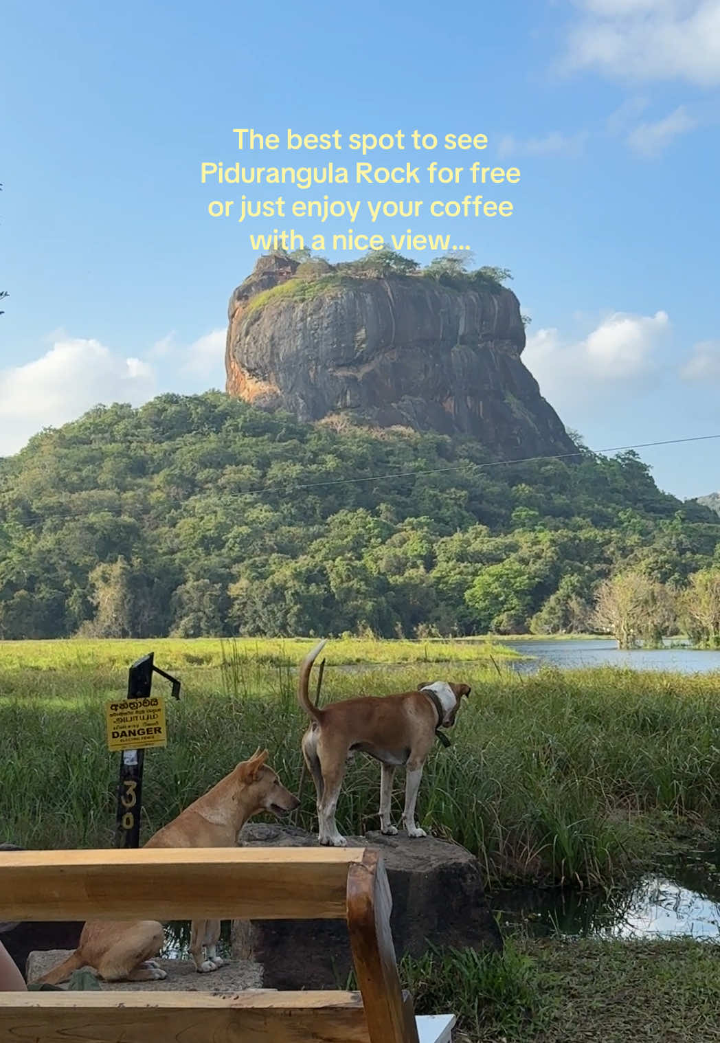 Sri Lankan Cafes With Sigiriya Rock Views