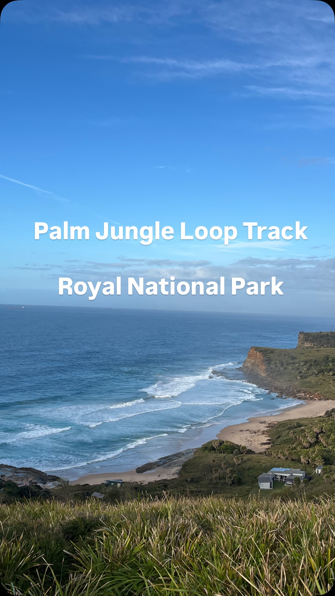 Royal National Park's Scenic Palm Jungle Loop Hike
