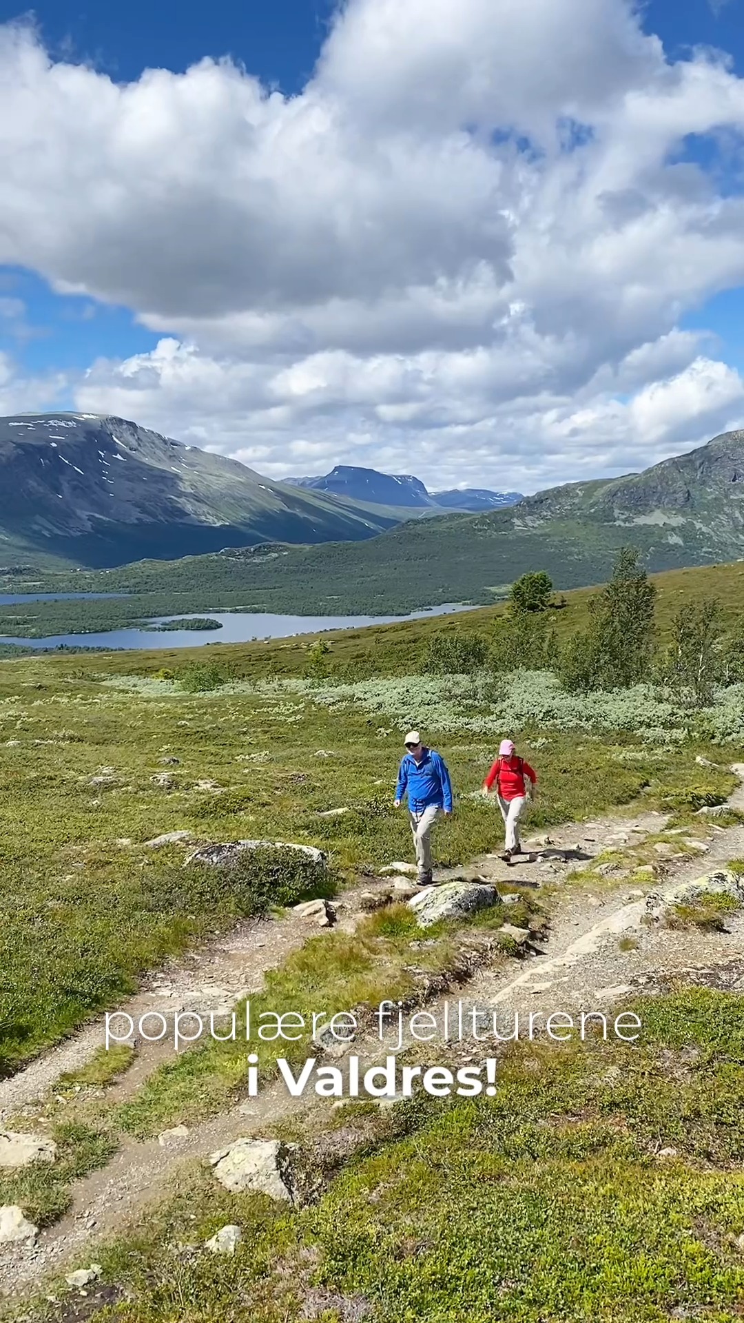 Valdres Mountain Views And Coffee Stop