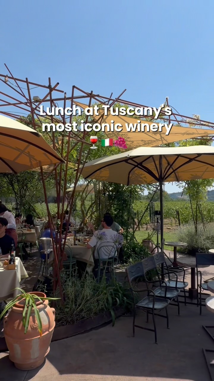 Tuscan Vineyard Dining Experiences