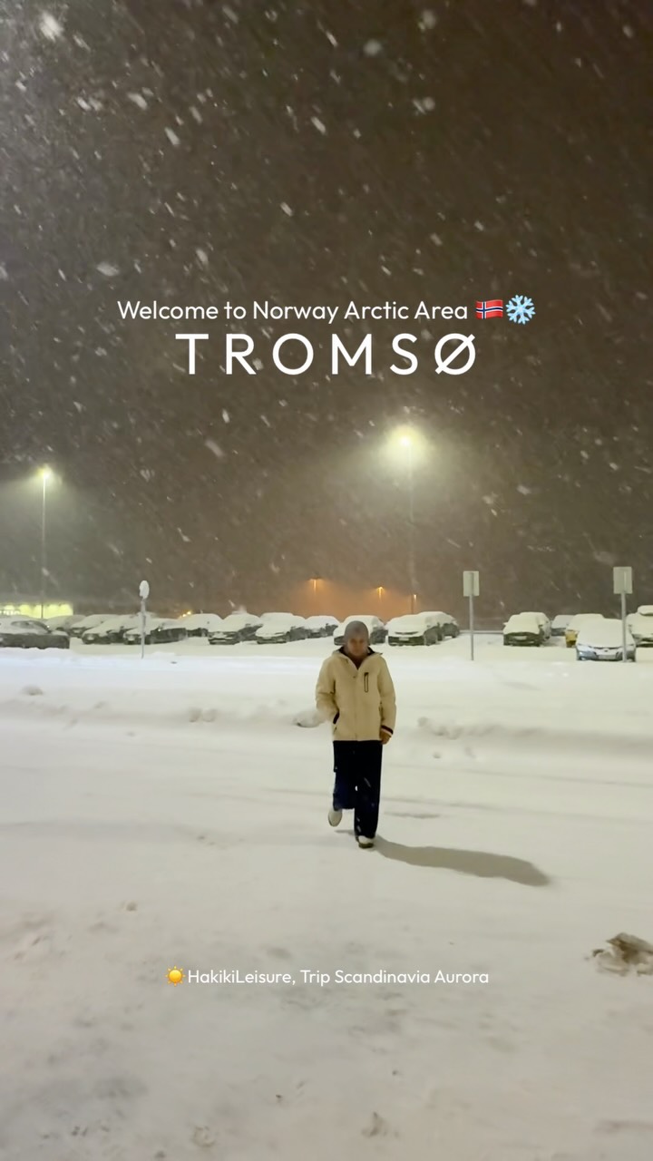 Arctic Adventures: Aurora, Norway, and Lapland