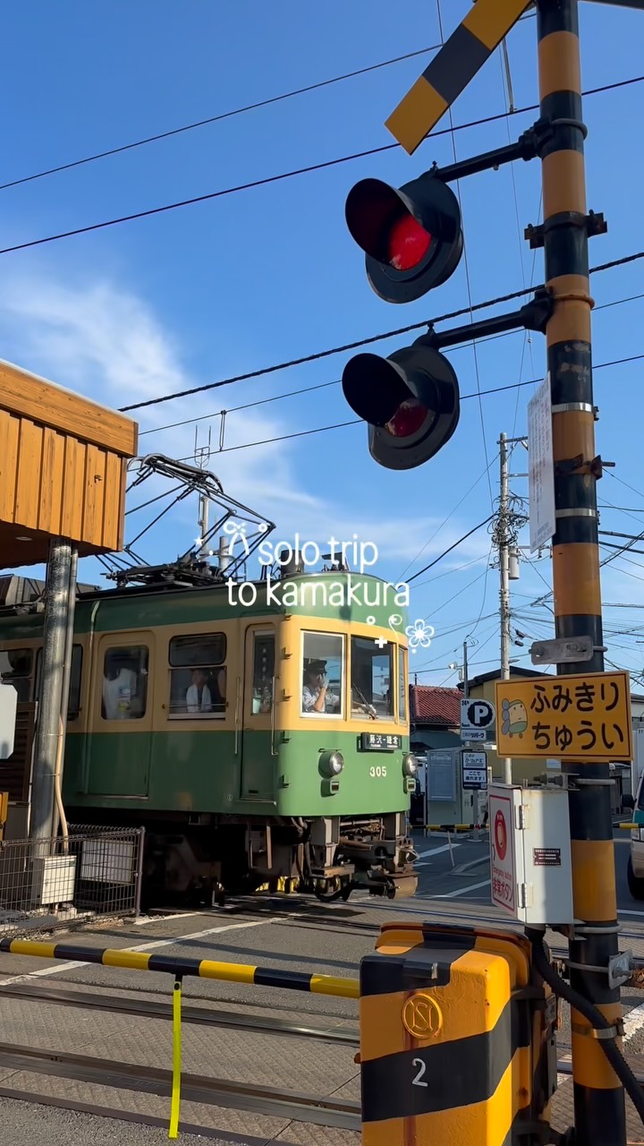 Kamakura Solo Trip: Food, Shopping, and Sightseeing