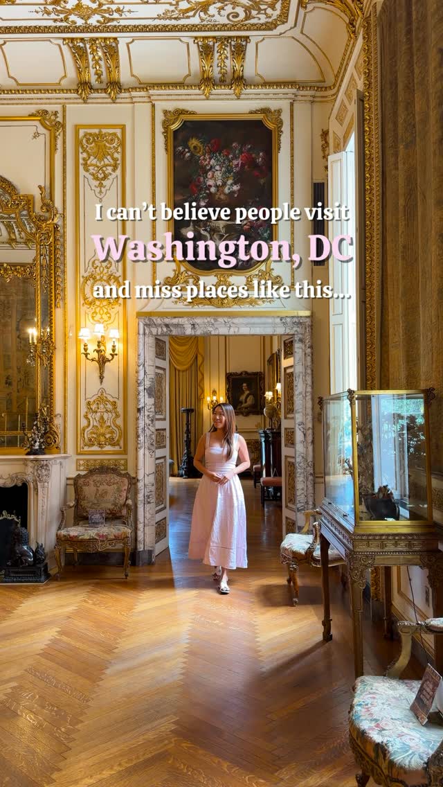 Washington DC's Cultural Attractions Beyond Monuments