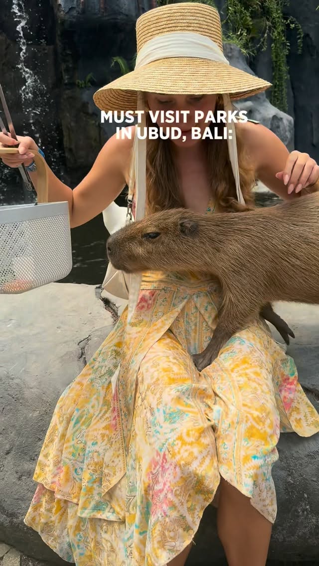 Bali's Wildlife Parks and Monkey Sanctuary