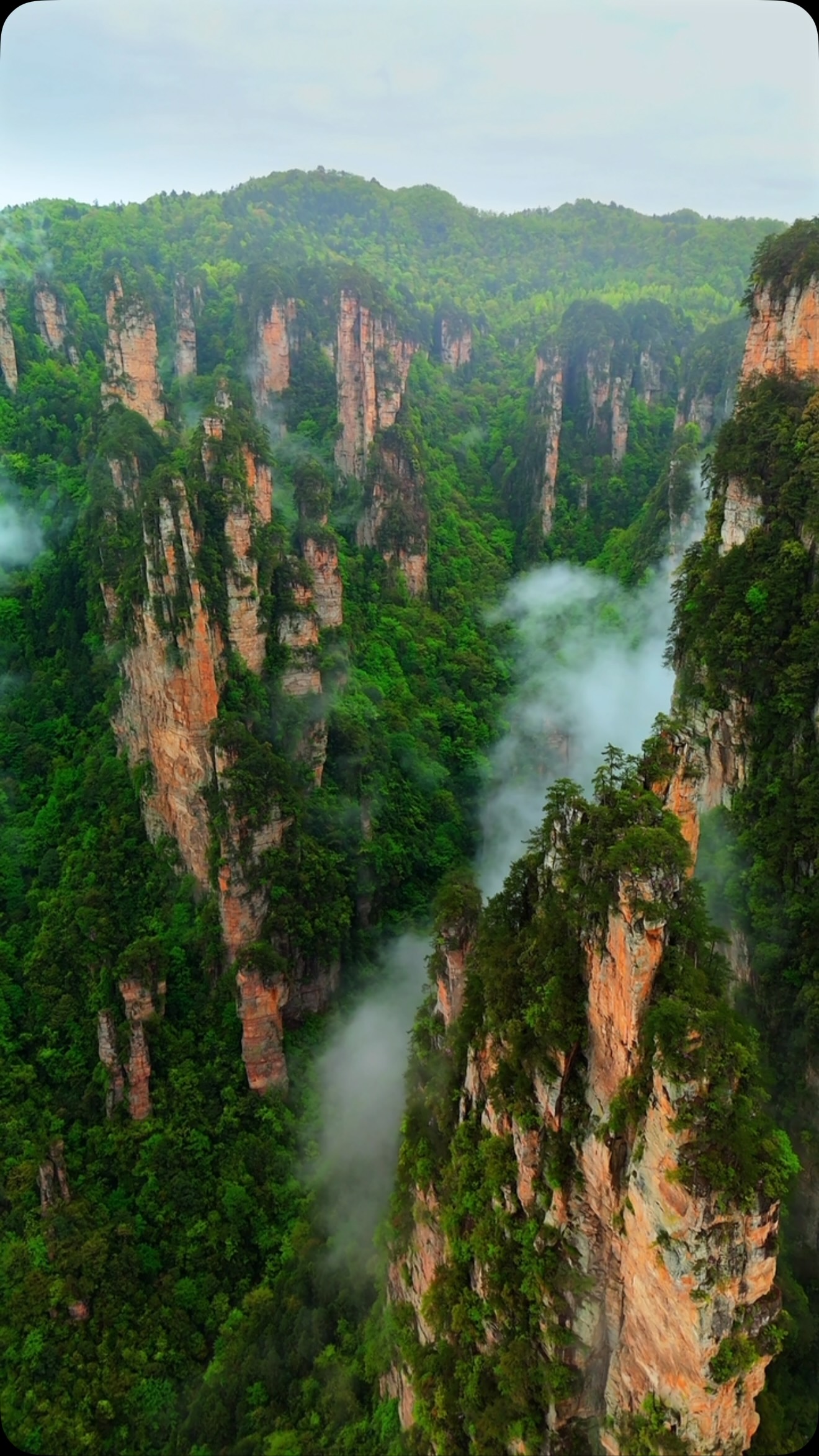 Avatar Mountains Gondola Ride Through Zhangjiajie