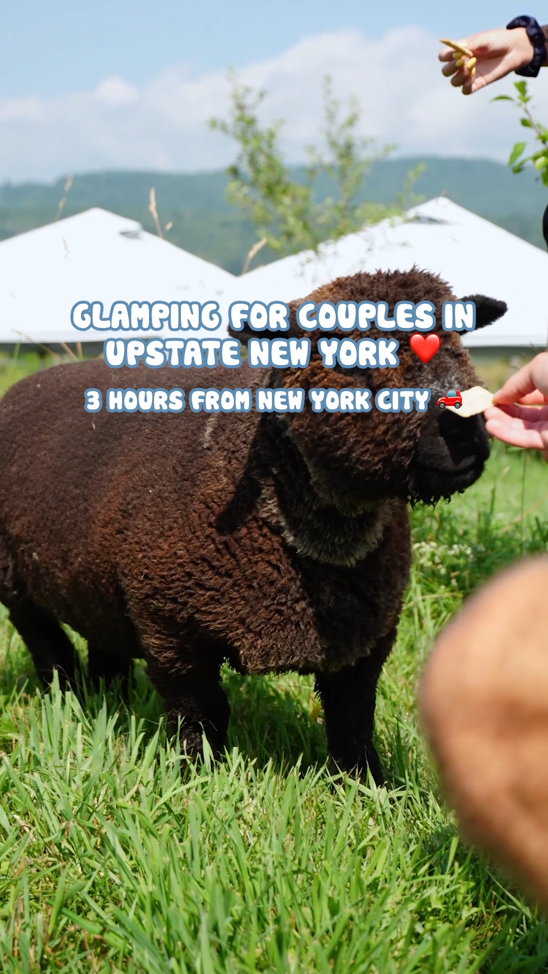 Upstate New York Glamping with Catskill Views