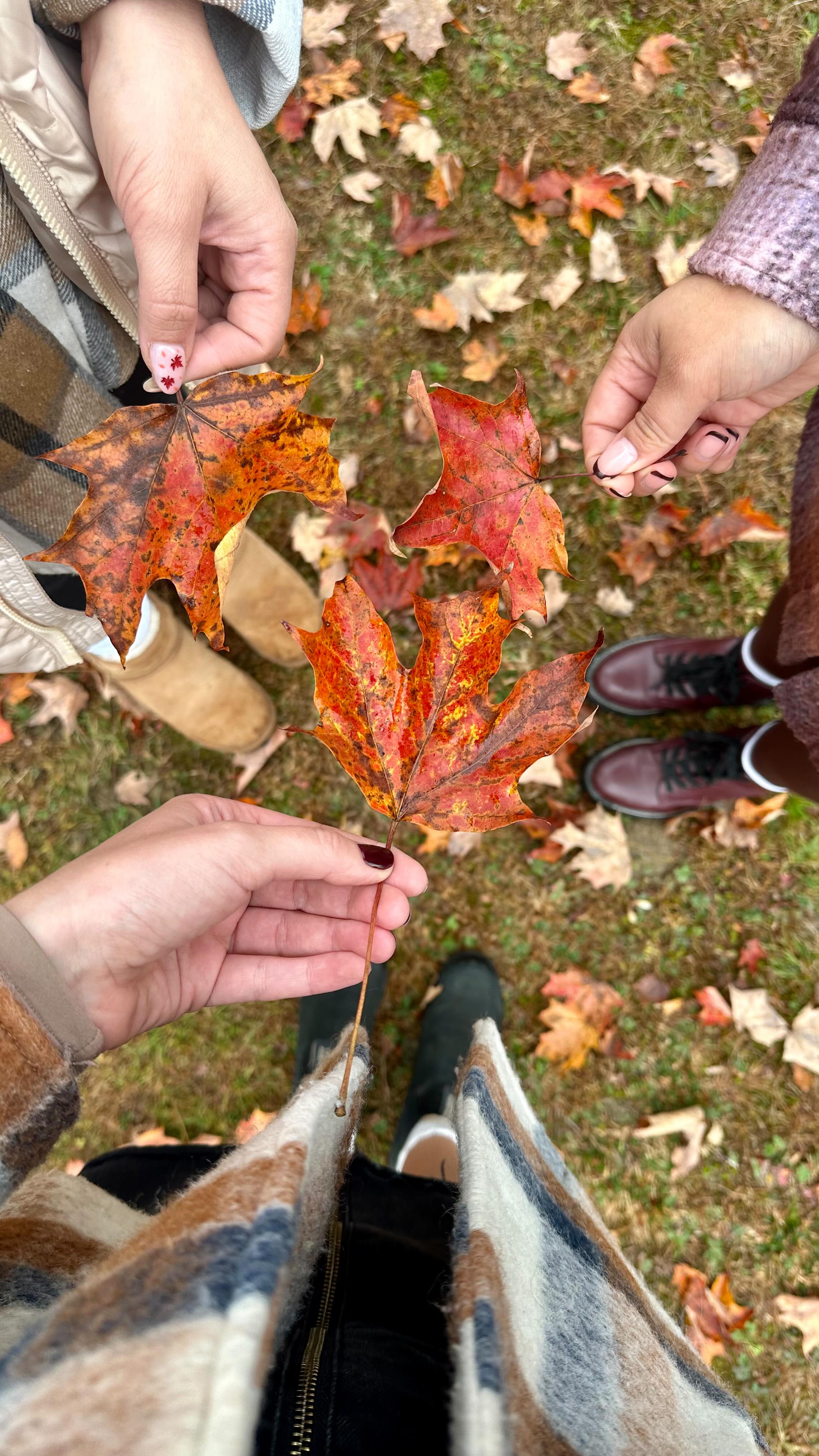 Sleepy Hollow: A Spooky Fall Day Trip Near NYC
