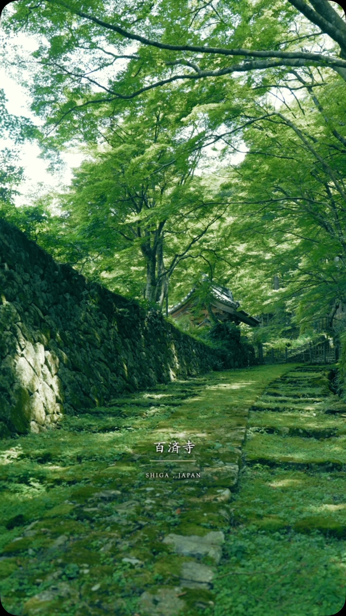 Serene Shiga Temple Offers Tranquil Escape