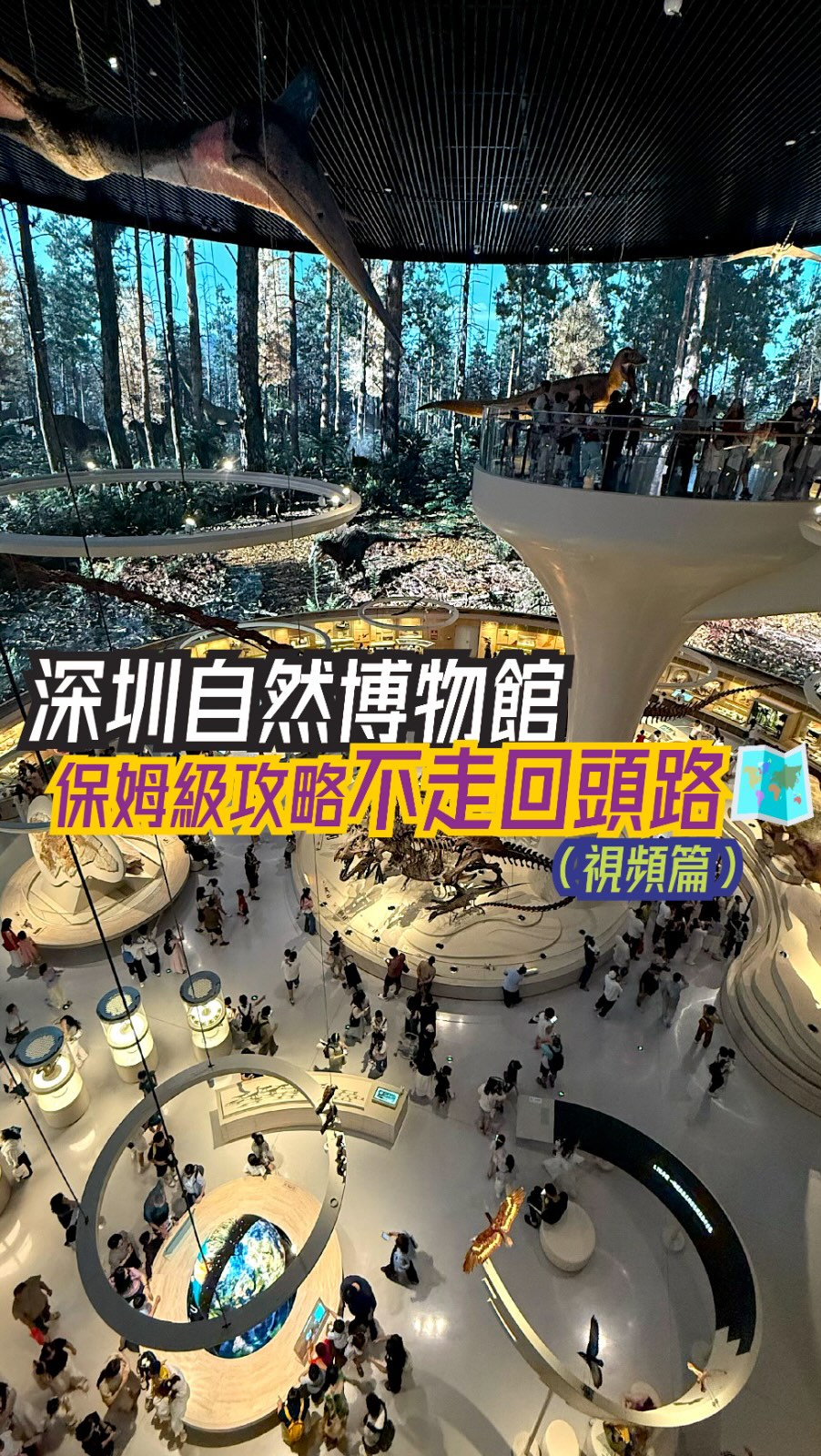 Shenzhen Natural History Museum Tour