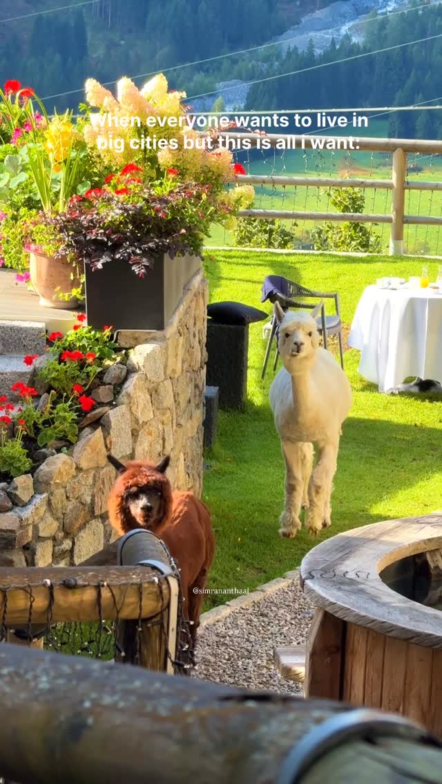 Chalet Al Foss Alp Resort Luxury Stay