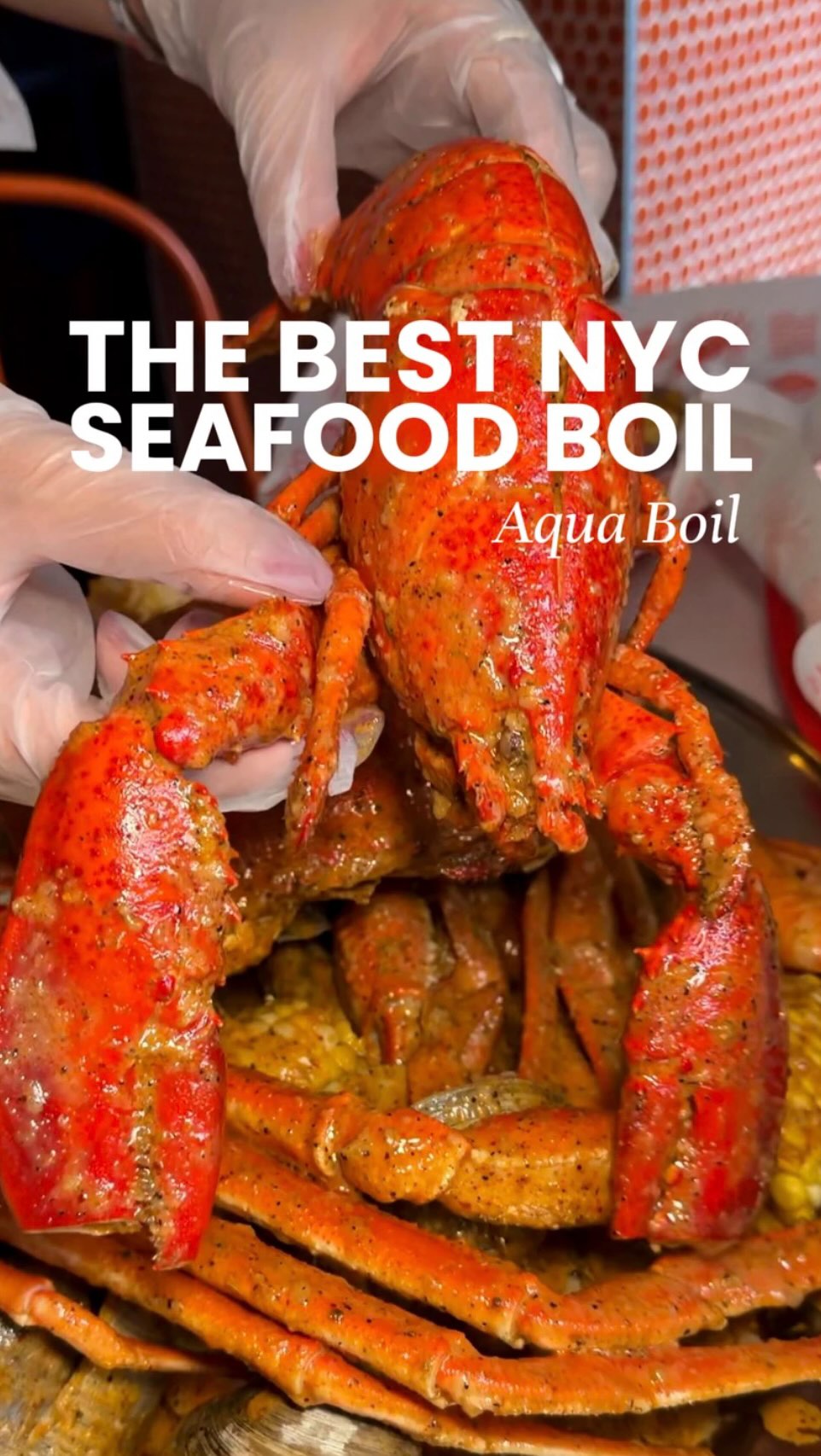 Aqua Boil's Lavish Seafood Feast