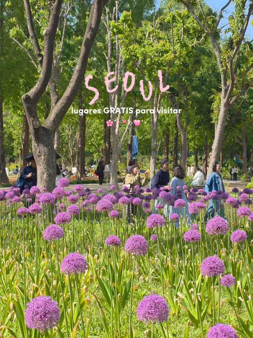 Seoul Forest Park Attractions