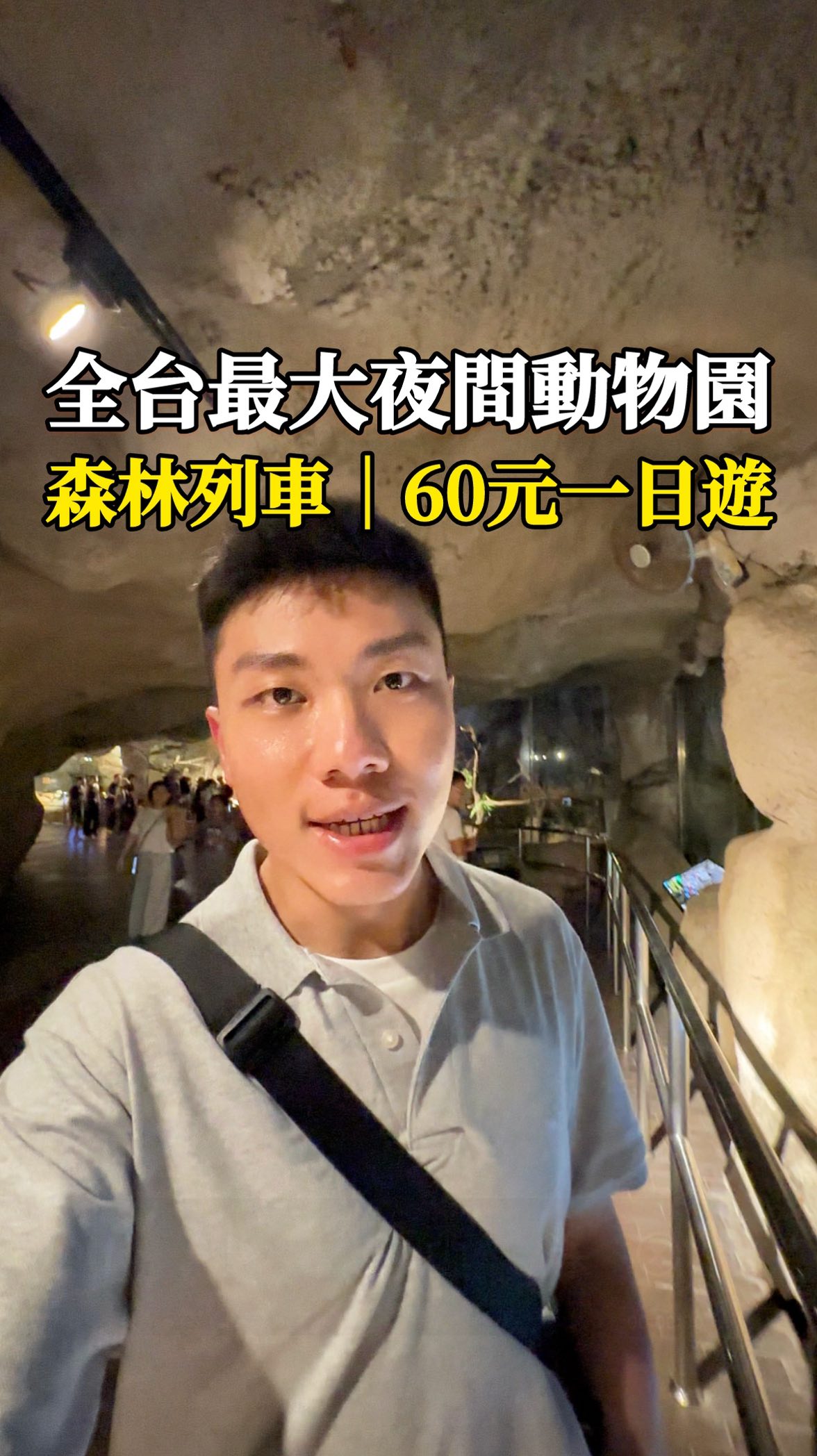 Taipei Zoo Offers Unique Nighttime Animal Encounters