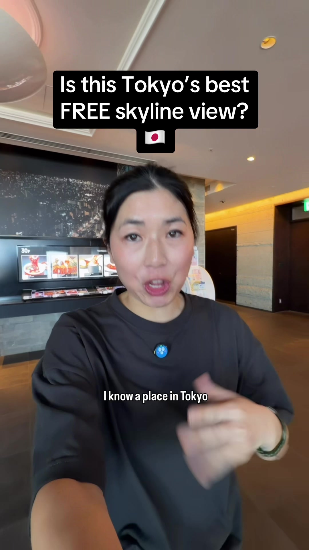 Tokyo's Skyline Views And Dining Delights