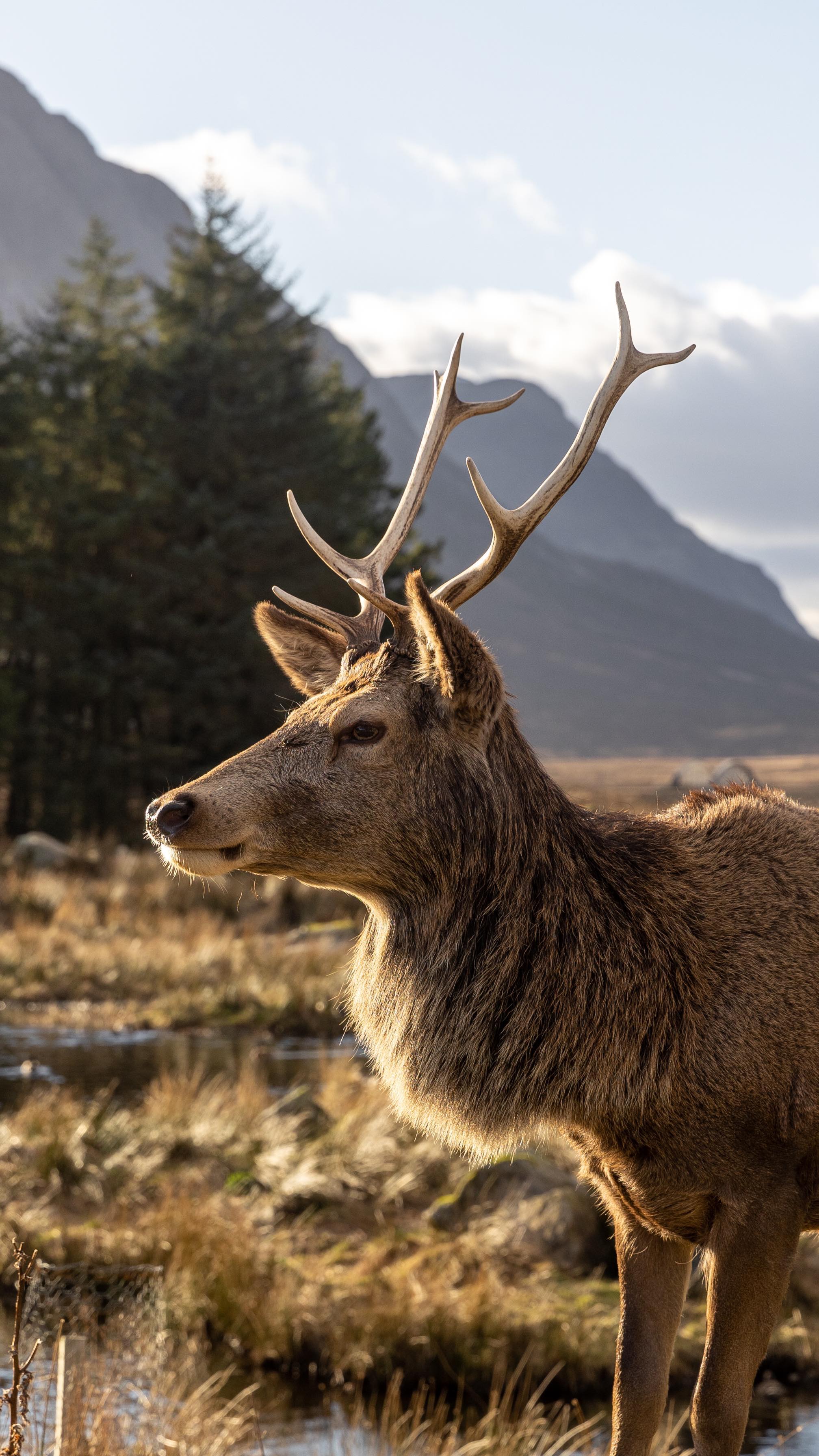 Scottish Highlands: Glencoe To Loch Ness Itinerary