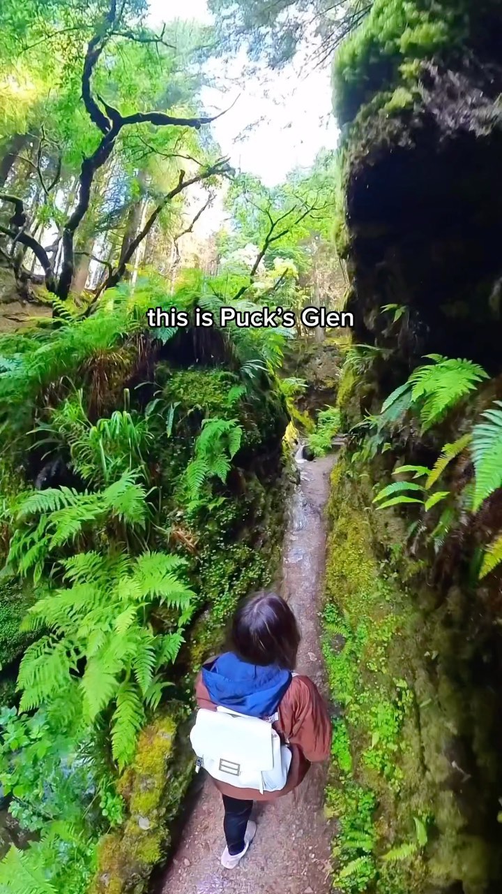 Magical Scottish Gorge Trail With Waterfalls