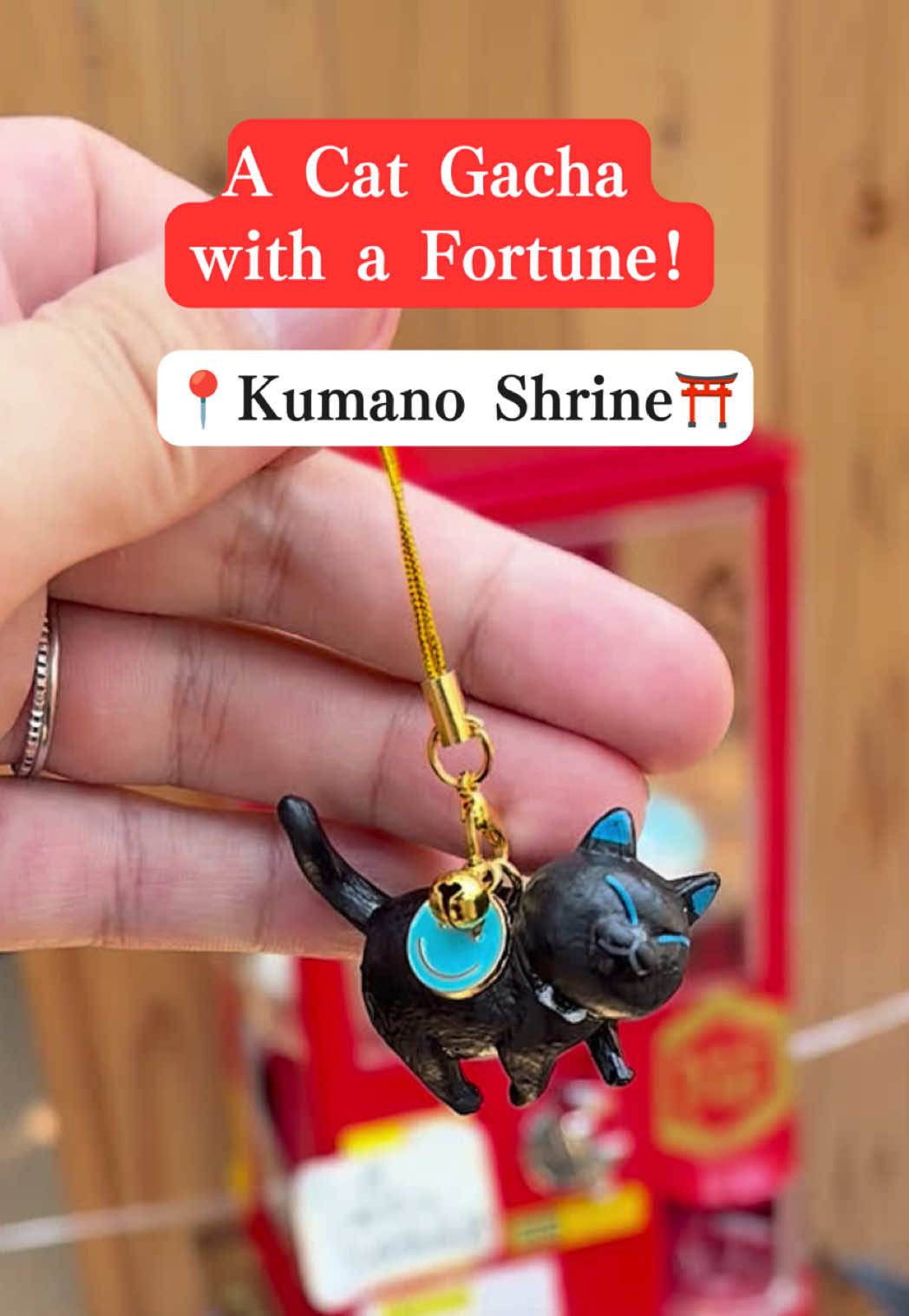Shinjuku Shrine's Cat Gacha and Fortunes