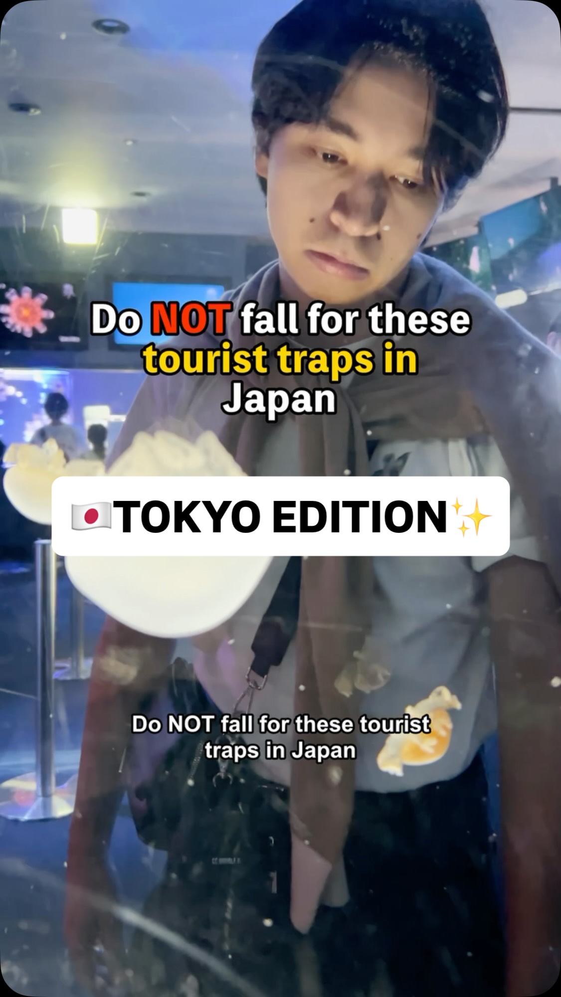 Tokyo & Nagoya Attractions And Travel Tips