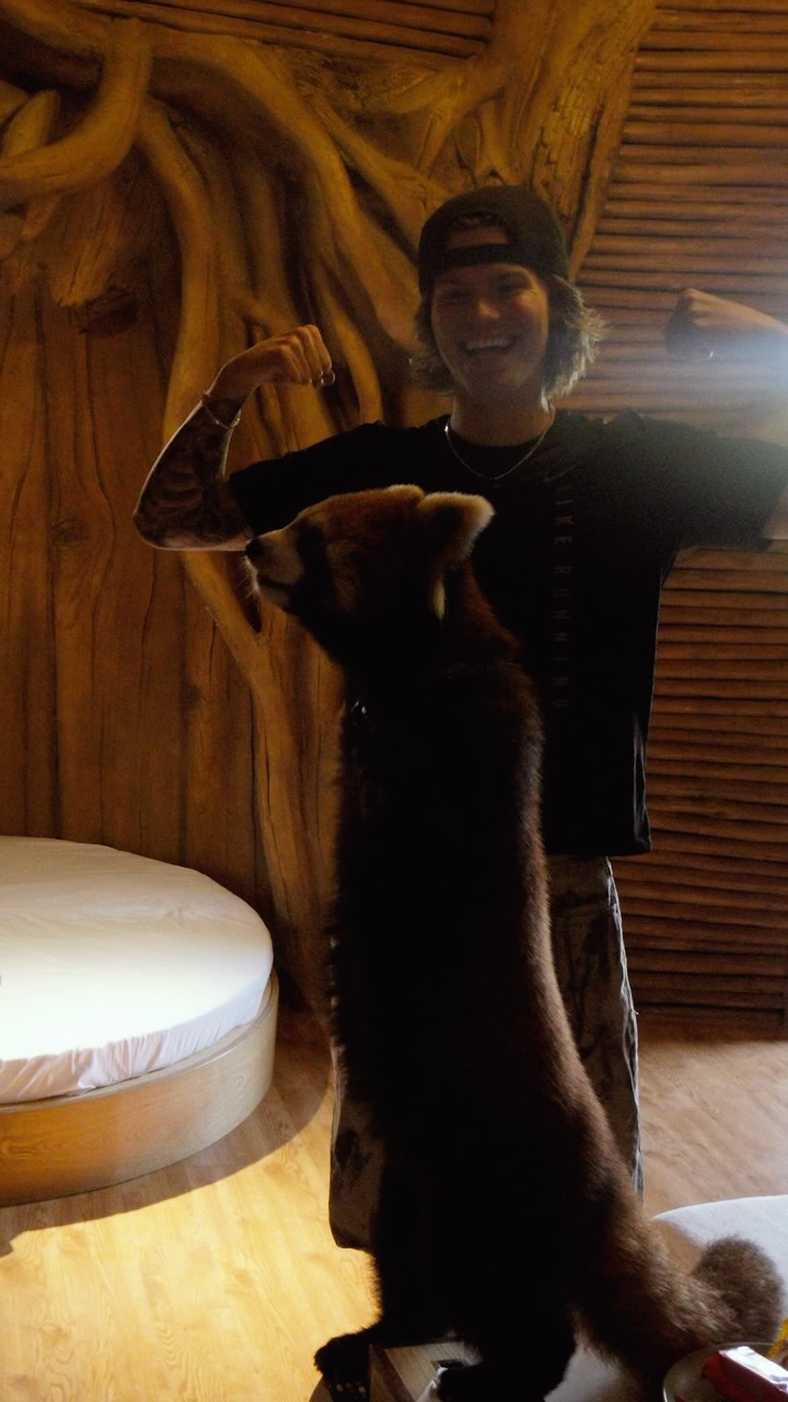Hotel Offers Red Panda Encounters in China