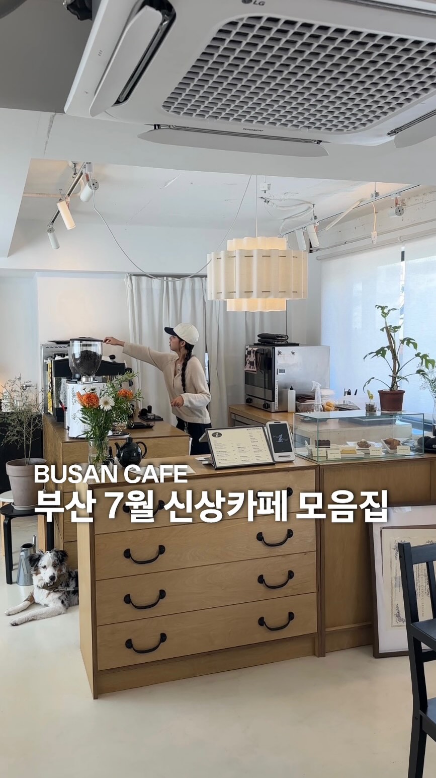 Busan's New July Cafes With Unique Ambiance