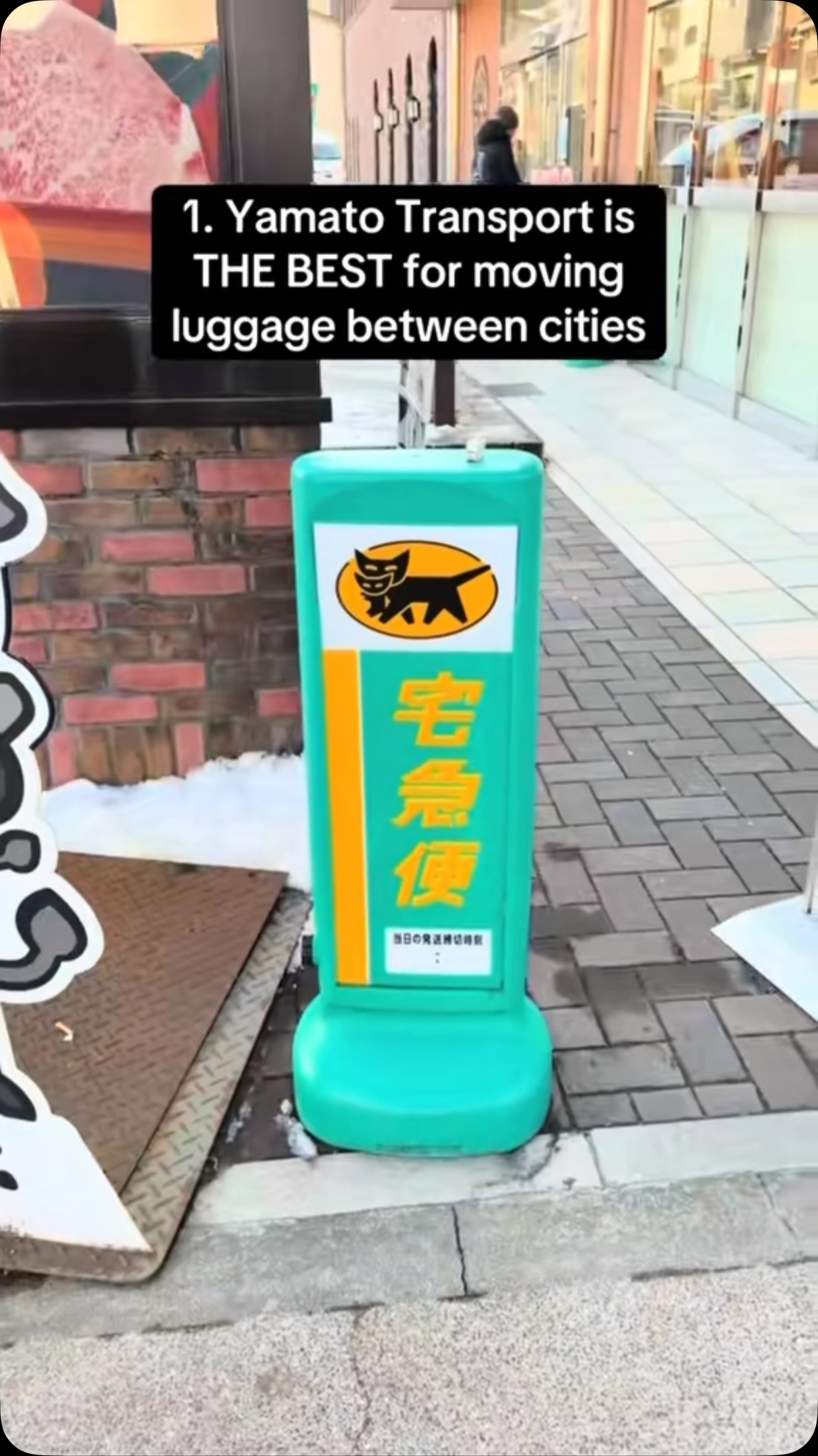 Japan Luggage Tips: Transport, Maps, and Airport Buses