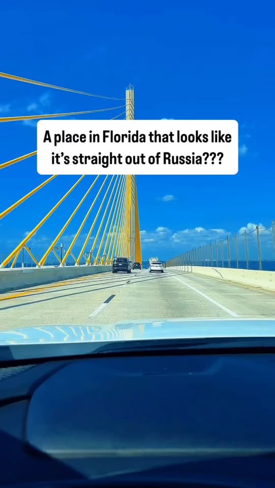 3 Places in Tampa