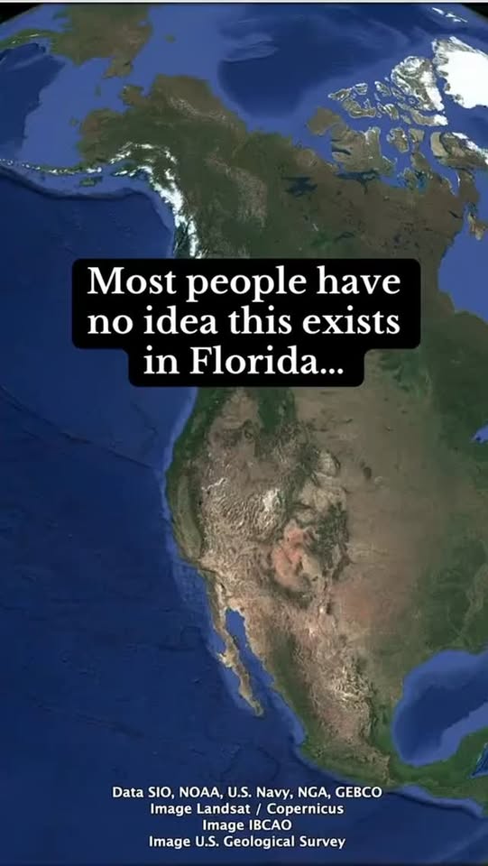 Florida Park Features Canopy Walk And Alligator Sinkhole