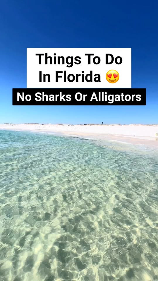 Florida's Unique Natural and Artistic Attractions