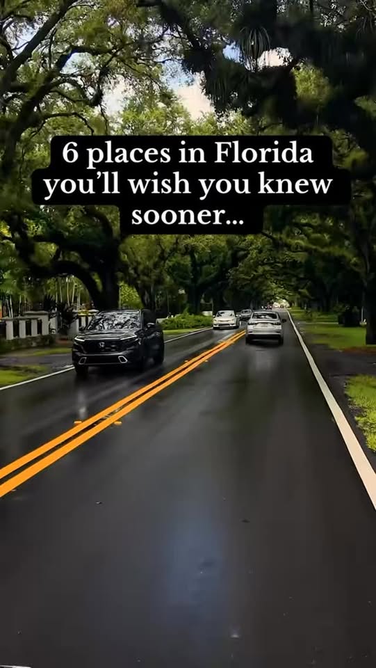 Florida's Cultural and Natural Treasures Beyond Theme Parks