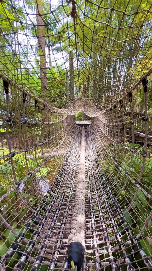 McKee Botanical Garden Features Lush Landscapes and Cafe