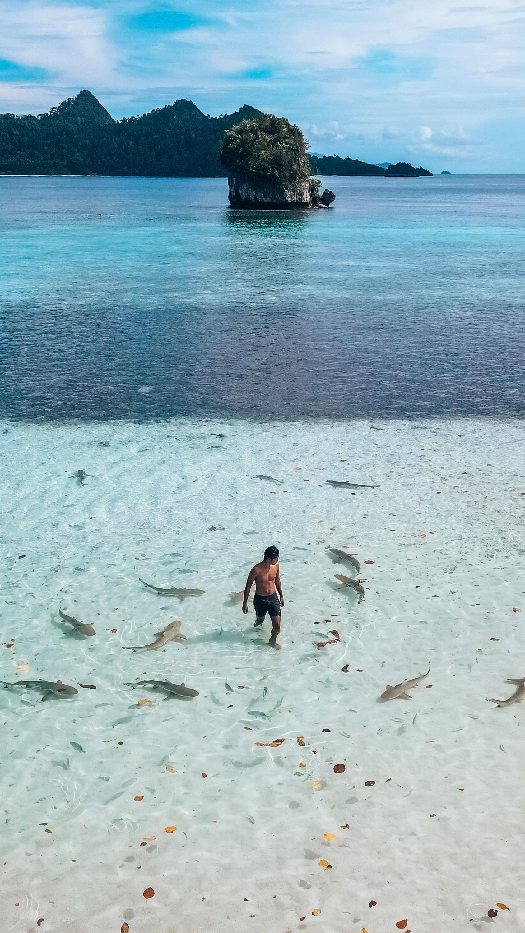 Raja Ampat: A Natural Wonder in Indonesia