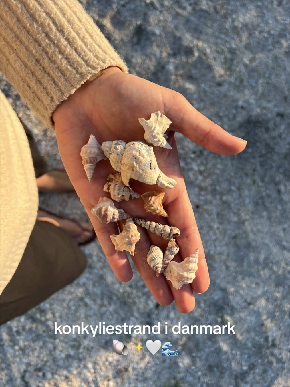 2 Places in Skagen