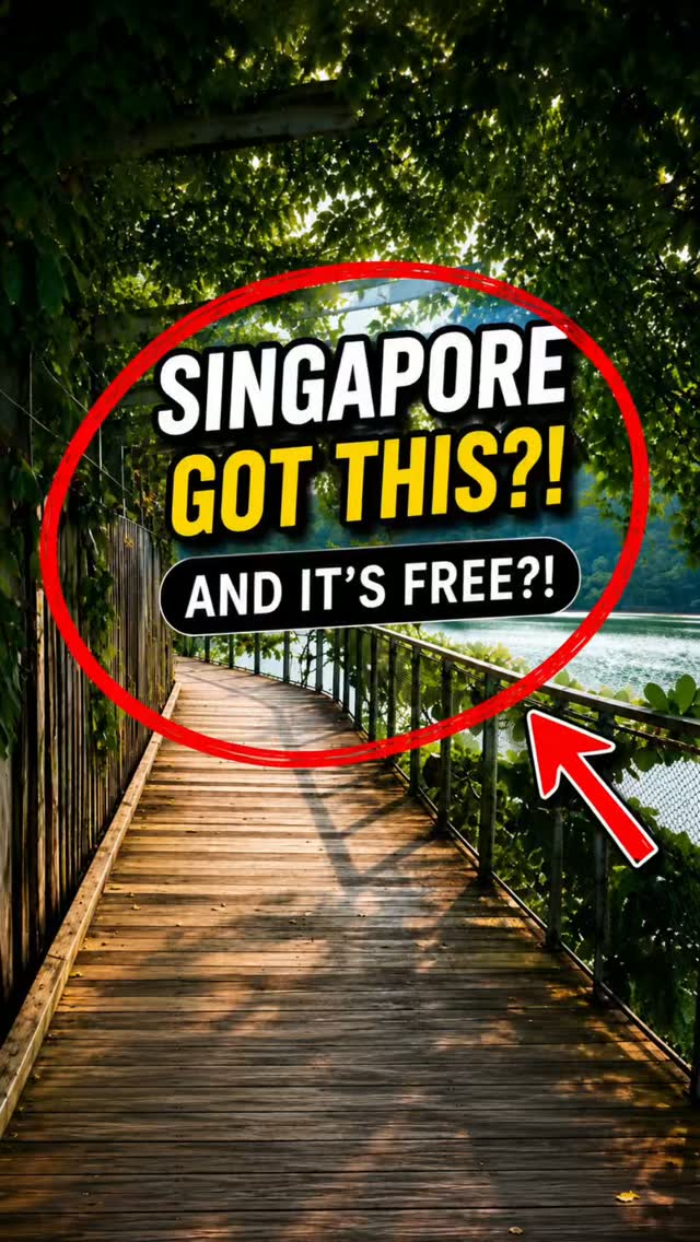 5 Attractions in Singapore