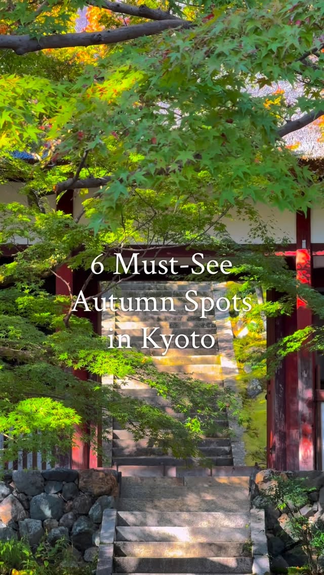 6 Attractions in Kyoto