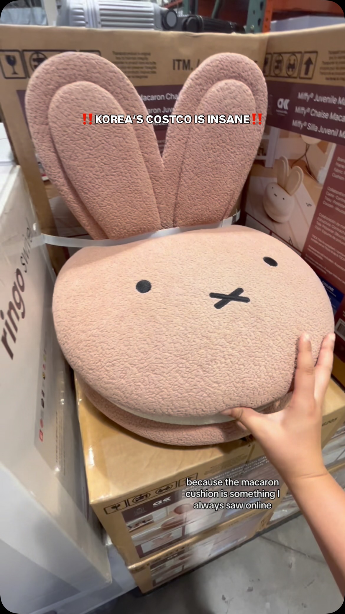 Costco Korea's Unique Finds and Food Offerings
