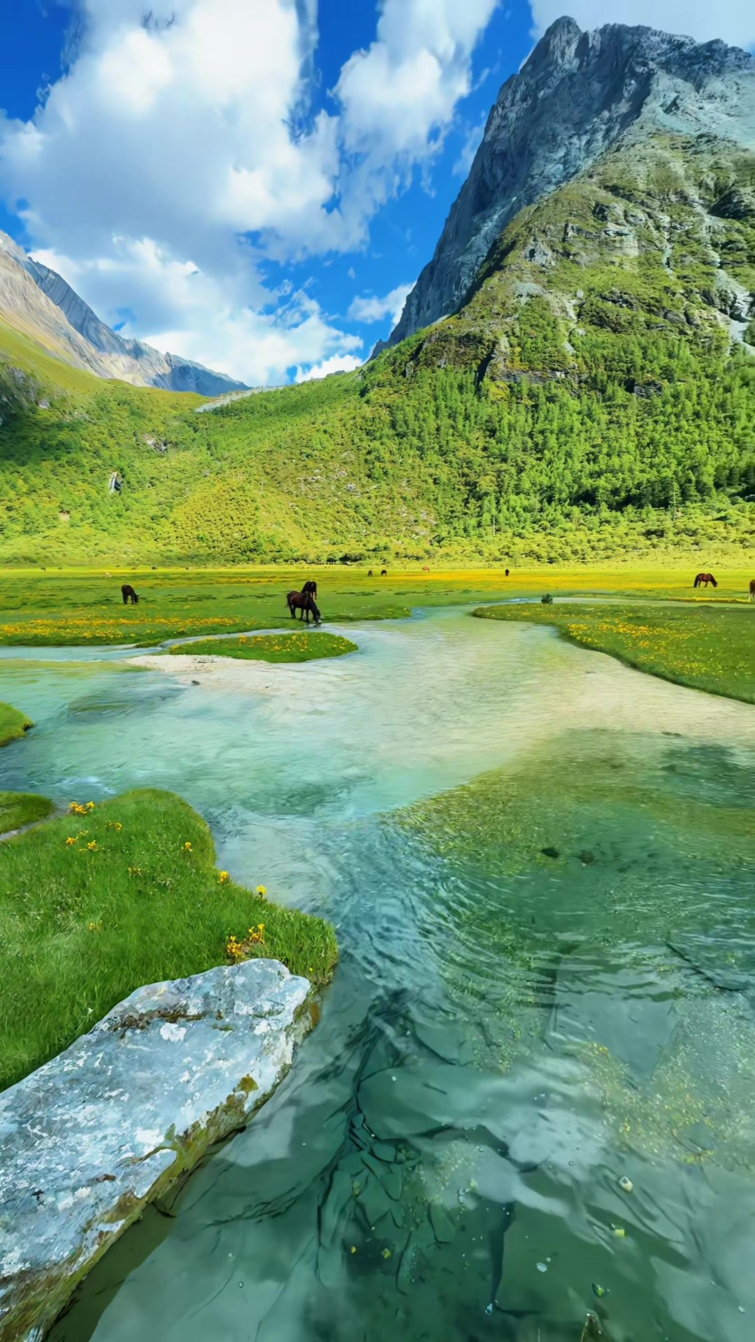 Sichuan's Sacred Snow Peaks And Crystal Lakes