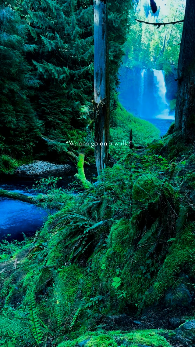 4 Hikes in Oregon