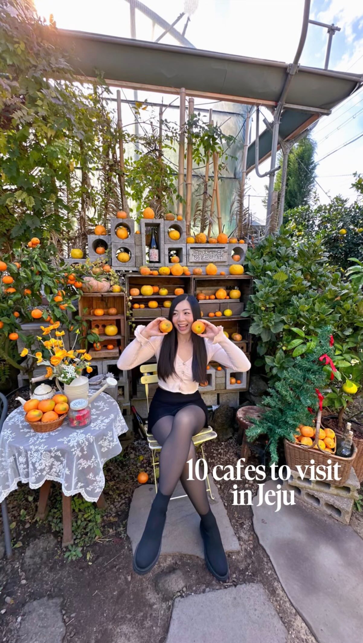 5 Cafes in Cheju