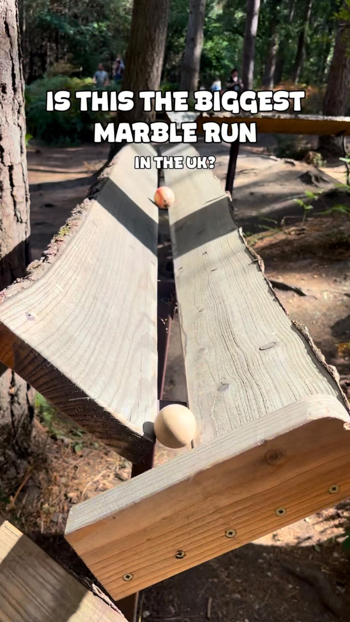 Giant Marble Run Trail in Alice Holt Forest