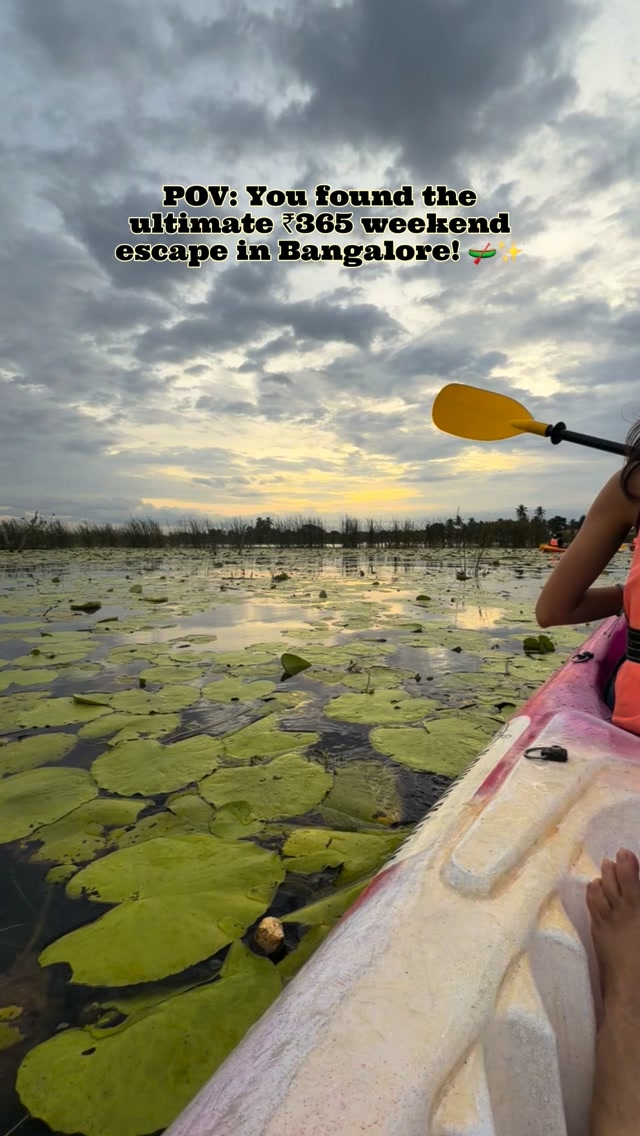 Pet-Friendly Lakeside Dining Near Bangalore